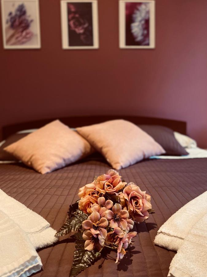 Dreams In Rome - Colosseum Apartment Eksteriør billede